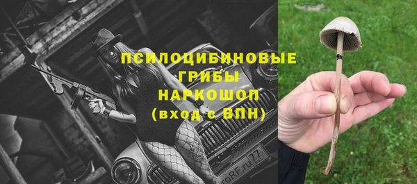 mdma Зеленокумск