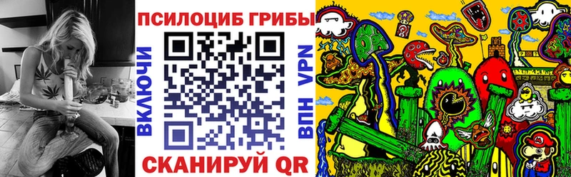 Псилоцибиновые грибы мицелий Киреевск