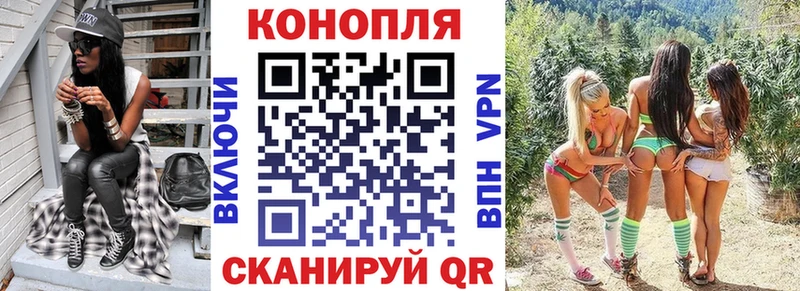 МАРИХУАНА сатива  Купить закладки  Киреевск 